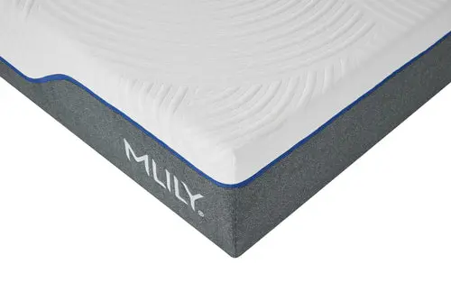 WellFlex 1.0 Firmer - Image 9