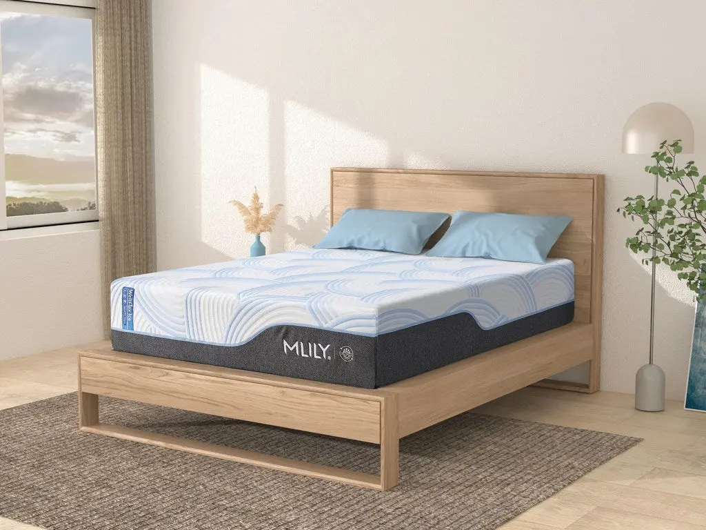 WellFlex ICE 1.0 Firmer - Image 2
