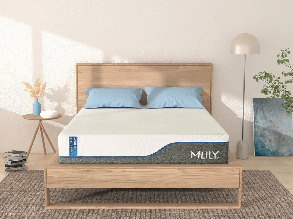 WellFlex 1.0 Firmer - Image 6