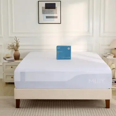 5-Sided Rayon Bamboo Mattress Protector