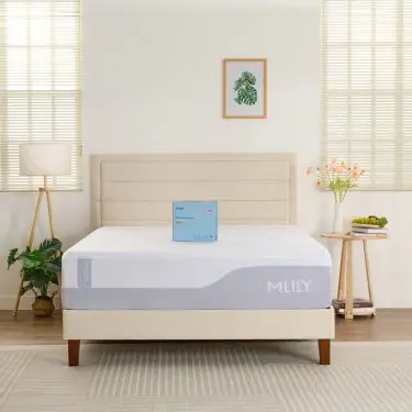 Single Sided Polyester Mattress Protector