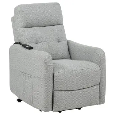 Dayes Power Lift Recliner Chair