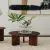 Coffee Table Only