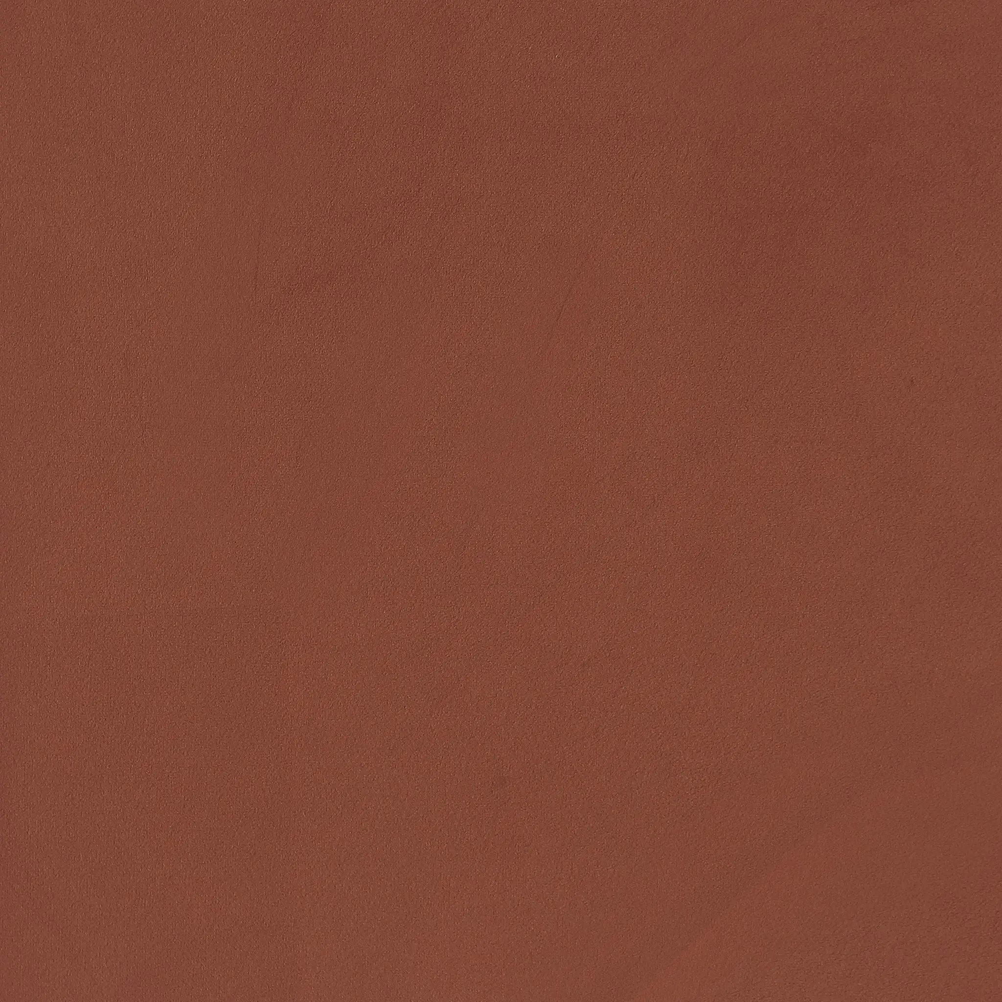 Liana Accent Chair Oatmeal - Image 11