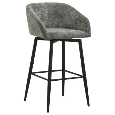 Rainer Swivel Bar Chair Charcoal (Set of 2)