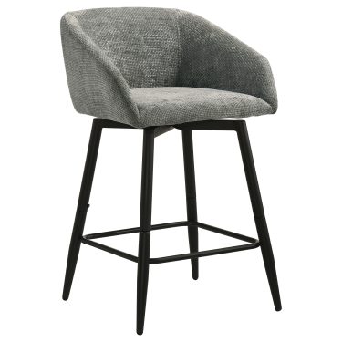 Rainer Swivel Counter Chair Charcoal (Set of 2)