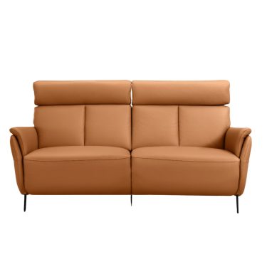 Beverly Recliner Sofa