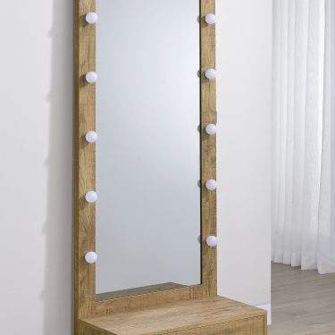 Spector 1-Drawer Lighted Full-Length Floor Mirror