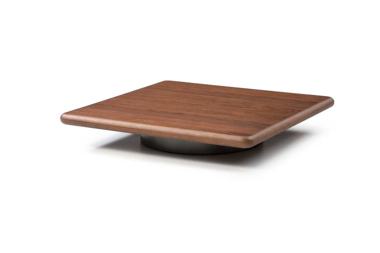 Zoya Coffee Table - Image 7